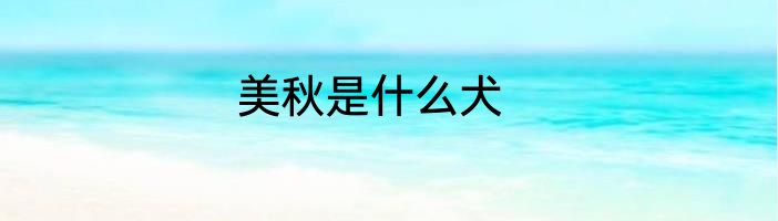 美秋是什么犬