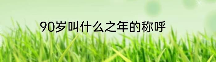 90岁叫什么之年的称呼