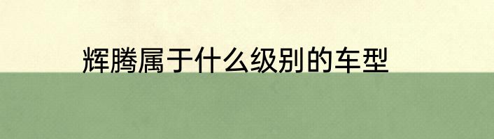 辉腾属于什么级别的车型