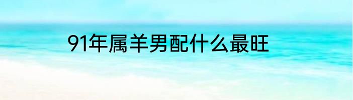 91年属羊男配什么最旺