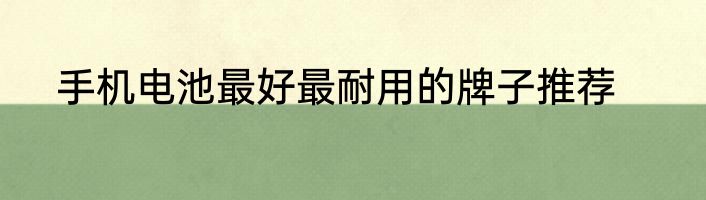 手机电池最好最耐用的牌子推荐