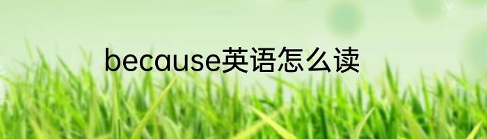 because英语怎么读