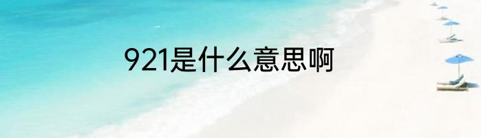 921是什么意思啊