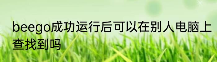 beego成功运行后可以在别人电脑上查找到吗