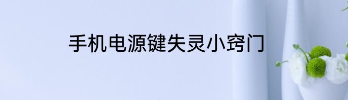手机电源键失灵小窍门