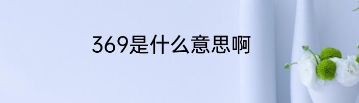369是什么意思啊