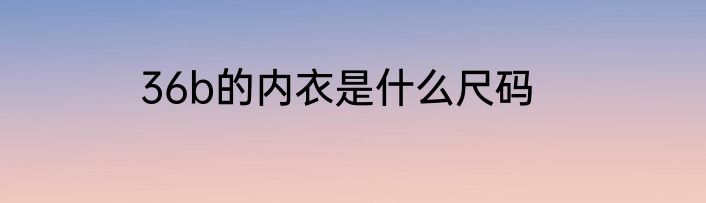 36b的内衣是什么尺码