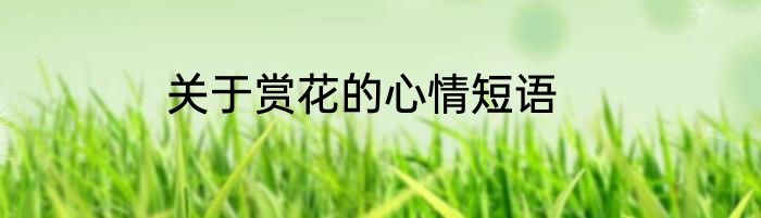 关于赏花的心情短语