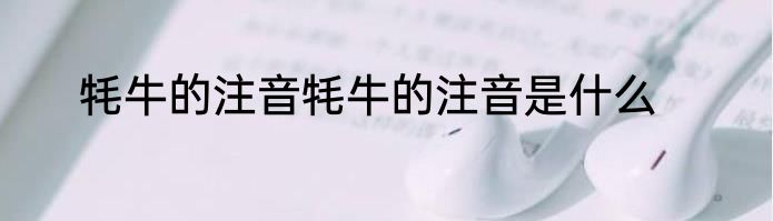 牦牛的注音牦牛的注音是什么