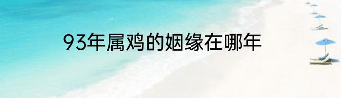 93年属鸡的姻缘在哪年
