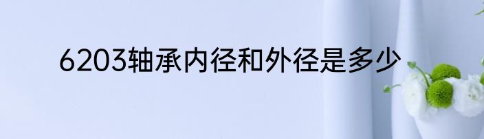 6203轴承内径和外径是多少