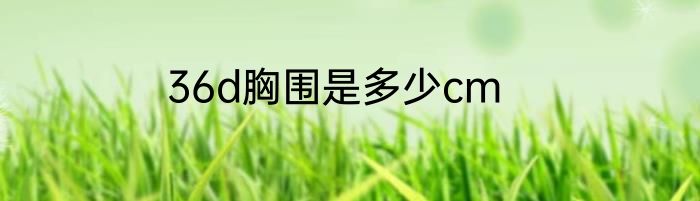 36d胸围是多少cm