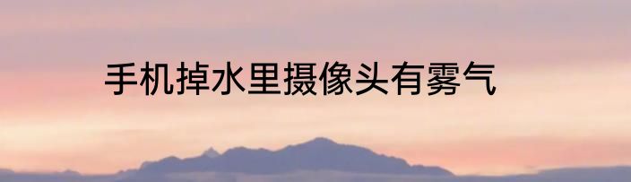 手机掉水里摄像头有雾气