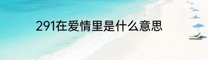 291在爱情里是什么意思