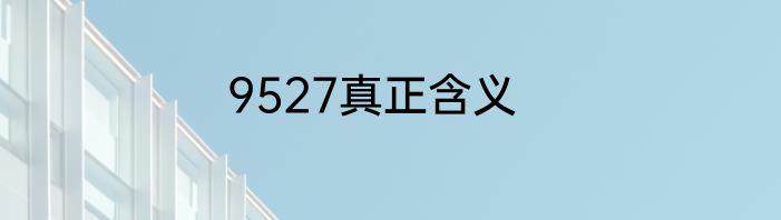 9527真正含义
