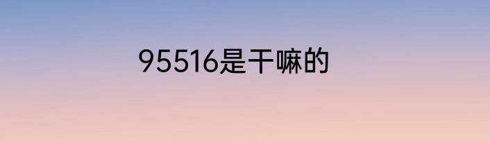 95516是干嘛的