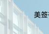 美签有什么类型