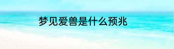 梦见爱兽是什么预兆