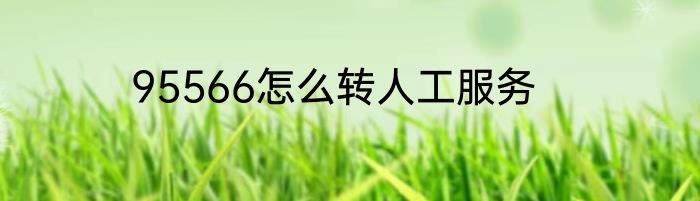 95566怎么转人工服务