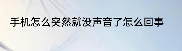 手机怎么突然就没声音了怎么回事