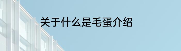 关于什么是毛蛋介绍