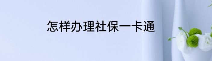 怎样办理社保一卡通