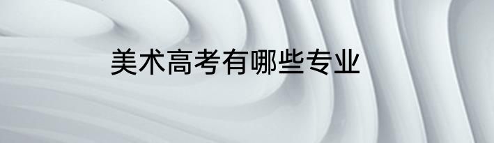美术高考有哪些专业