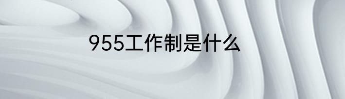 955工作制是什么