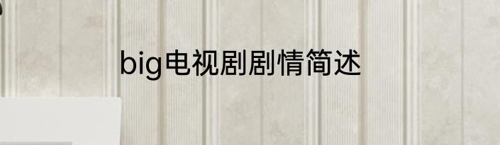 big电视剧剧情简述