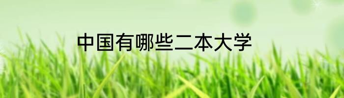 中国有哪些二本大学