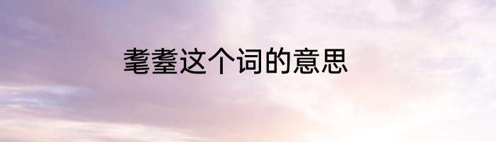 耄耋这个词的意思