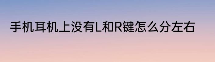 手机耳机上没有L和R键怎么分左右