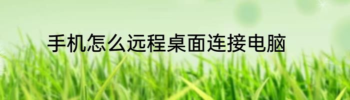 手机怎么远程桌面连接电脑