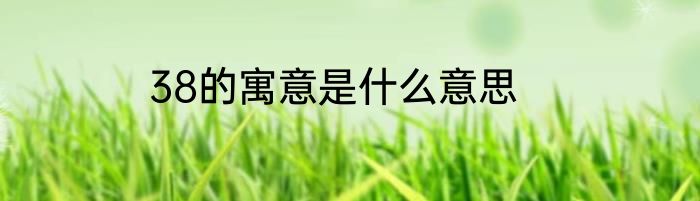 38的寓意是什么意思