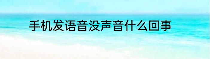 手机发语音没声音什么回事