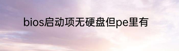 bios启动项无硬盘但pe里有