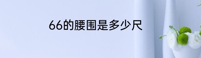 66的腰围是多少尺