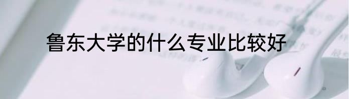 鲁东大学的什么专业比较好