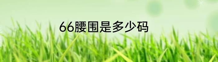 66腰围是多少码