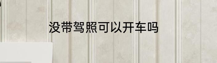 没带驾照可以开车吗