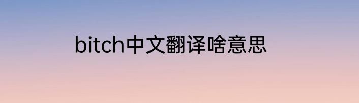 bitch中文翻译啥意思