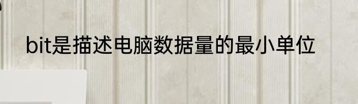 bit是描述电脑数据量的最小单位