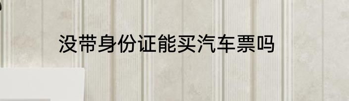 没带身份证能买汽车票吗