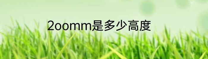 2oomm是多少高度