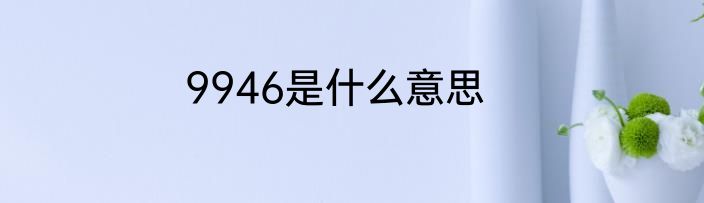 9946是什么意思