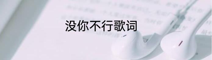 没你不行歌词