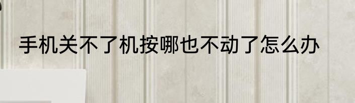 手机关不了机按哪也不动了怎么办