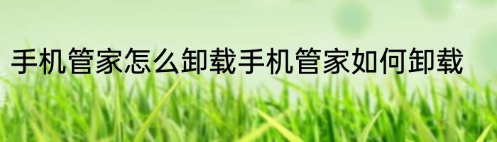 手机管家怎么卸载手机管家如何卸载