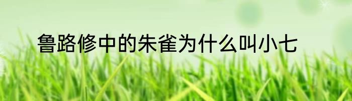 鲁路修中的朱雀为什么叫小七