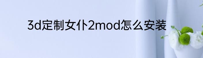 3d定制女仆2mod怎么安装